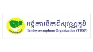 TDSP